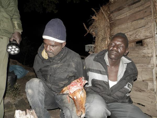 141002 1 1 Multiple Arrests Made as Bushmeat Poaching Intensifies