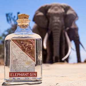 191115 Elephant gin holiday gift