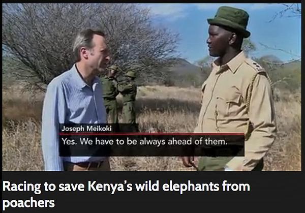 140828 1 1 Big Life Foundation On Pbs Newshour Racing to Save Kenyas Wild Elephants from Poachers