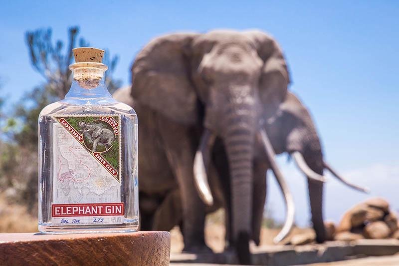 190608 One Ton Elephant Gin