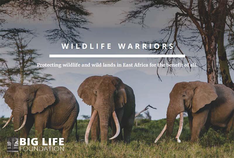 Wildlife Warrior certificate supporting Big Life Foundation