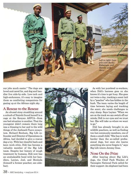 American Kennel Club Magazine Feature Article On Big Life's Tracker Dogs
